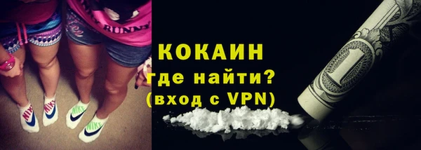 сатива Аркадак
