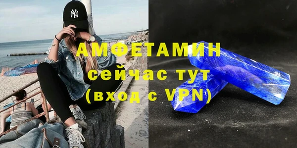 сатива Аркадак