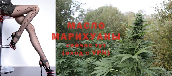 гашик Алексин