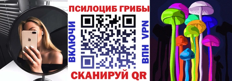 ссылка на мегу как войти  Чадан  Галлюциногенные грибы прущие грибы 